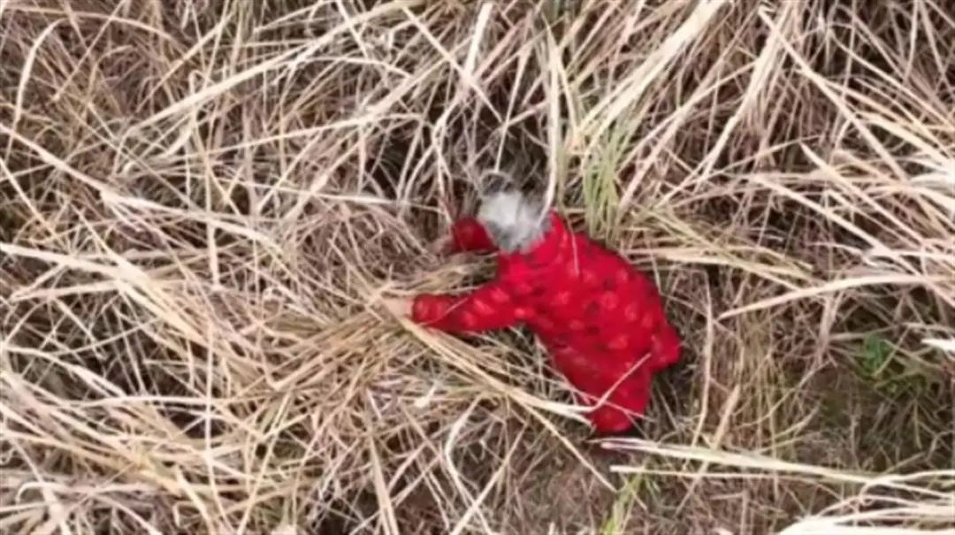 3f576640b781119a323e4d710e34271e.jpg 640.jpg